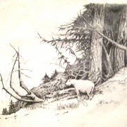 Img_0041_card