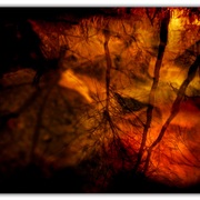 Untitled-1_card