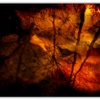 Untitled-1_thumb