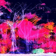 Abstract_in_pink_and_gold2_card
