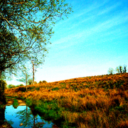 Edit4__2_