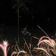 Img_5084_card