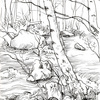 Abedules-en-el-carrion_thumb