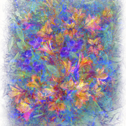 Colorful_flowers_web_card