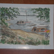 Sam_0250_card