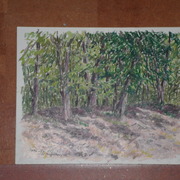 Sam_0257_card