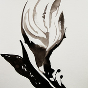 20110117_68__3__card