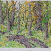 Sam_0282_card