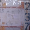 Stevejaviel_dumpster_237_thumb