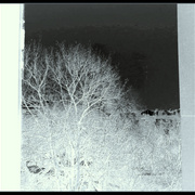______3606-5_card