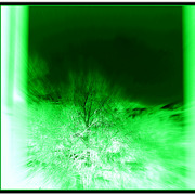 ______3608-2_card