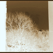 ______3606-5_card