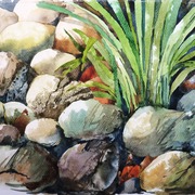 Rocks_002_card