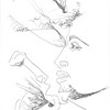 04134_e_thumb