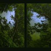 Mornings_in_gideon_card