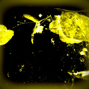 ______3609-2_card