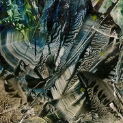 Lostworld_2_card