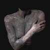 Berry_arm_torso_pg_thumb
