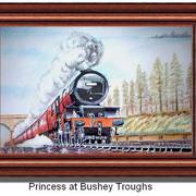Princess_at_bushey_troughs_card