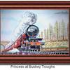 Princess_at_bushey_troughs_thumb