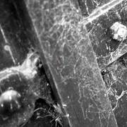 Old-wooden-door-2_card