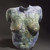Front_torso_forest_lizard_thumb
