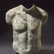 Swift_torso_card