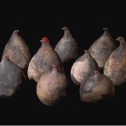 Flock_of_f
