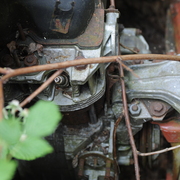 Rust_never_sleeps_p