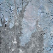 Ab01_card