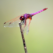 _dsc0022_card