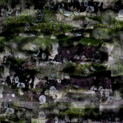 Mold2_card
