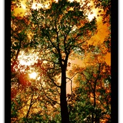 Untitled-2_card