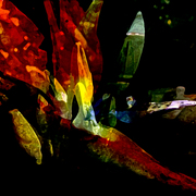 Garden_2_card