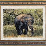 Tusker_card