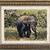 Tusker_tiny_square