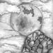 Moon_square