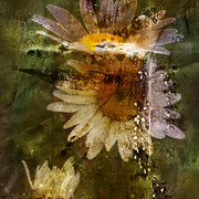 June_days_card