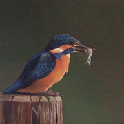 Dscf0726_card