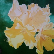 Rhodies_for_you