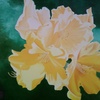 Rhodies_for_you