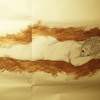 Sleep_thumb
