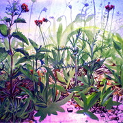 P1011933_card