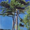 Cedars_thumb