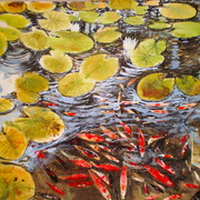 P1011908_card