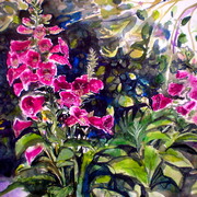 P1011894_card