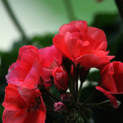 003052011a_card