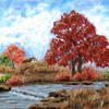 Redtreebytherive1024_thumb