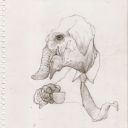 Fante_lr_card