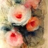Gedc1278_thumb
